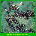 HDPE Agricultura Fruta / Olive Rede / Colheita / Coleta / Coleta de Rede